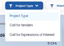 Project's type Filter